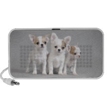 Perritos de la chihuahua laptop altavoz