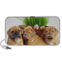 Perritos de Pascua Dogue de Bordeaux iPod Altavoz