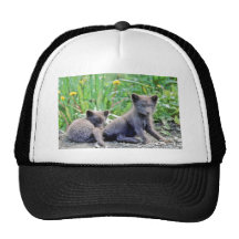 Perritos del Fox Gorro De Camionero