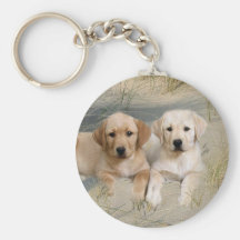Perritos del llavero del labrador retriever en la 