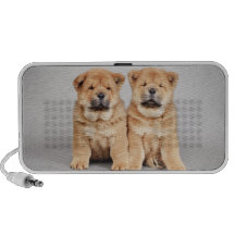 Perritos del perro chino de perro chino mini altavoces