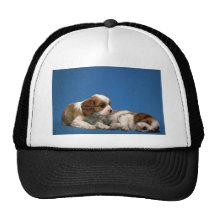 Perritos del perro de aguas de rey Charles Gorro De Camionero