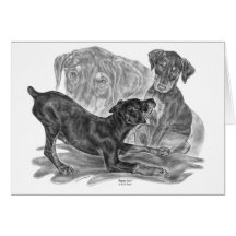 Perritos del Pinscher del Doberman que dibujan por Tarjetas