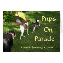 Perritos en desfile, cualquier tarjeta de la ocasi