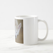 Perritos fornidos tazas de café
