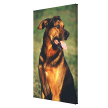 perro 2 lona envuelta para galerías