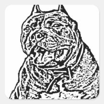 Perro americano del matón pegatinas cuadradases personalizadas