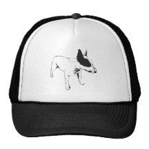 Perro áspero gorro