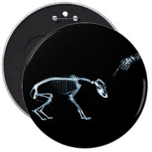 Perro azul de los esqueletos de la radiografía mún pin