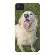 Perro blanco Case-Mate iPhone 4 cárcasa
