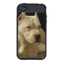 Perro blanco del pitbull