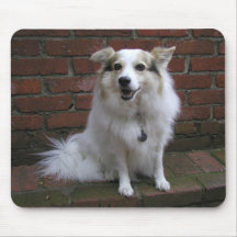 Perro blanco lindo en ladrillos alfombrillas de ratones