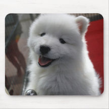 Perro blanco mullido feliz tapetes de ratón
