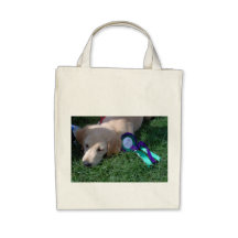 Perro cansado bolsas