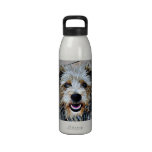 Perro colorido botellas de agua reutilizables