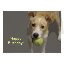 Perro con la tarjeta de cumpleaños de la pelota de
