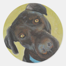 Perro curioso pegatina