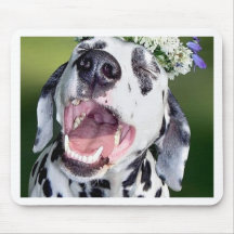 Perro dálmata sonriente tapete de raton