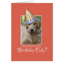 Perro de 3775 cumpleaños felicitacion 