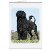 Perro de agua portugués 9Y510D-061 Tarjetas