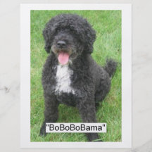 Perro de agua portugués de Barack Obama Flyer A Todo Color
