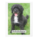 Perro de agua portugués de Barack Obama Comunicados Personales