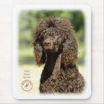 Perro de aguas de agua irlandesa 9R032D-363 Alfombrilla De Ratones