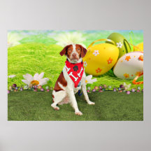 Perro de aguas de Pascua - de Bretaña - Elliott Impresiones