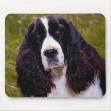 Perro de aguas de rey Charles arrogante - mousepad Tapete De Ratón