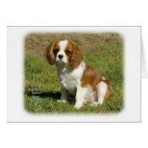 Perro de aguas de rey Charles arrogante Felicitación