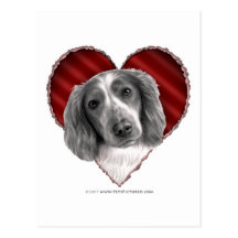 Perro de aguas de saltador galés con el corazón postales