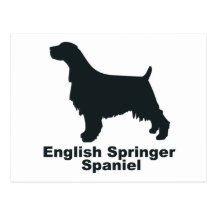 Perro de aguas de saltador inglés postal