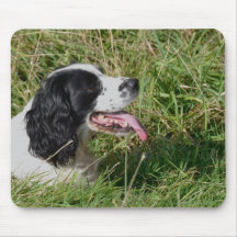Perro de aguas Mousepad