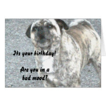 Perro de Bull del feliz cumpleaños Tarjeton