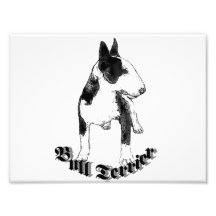 Perro de bull terrier impresiones fotográficas