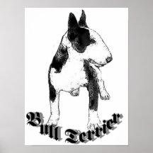 Perro de bull terrier poster