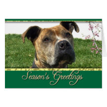 Perro de GreetingsPitbull de la estación Felicitación