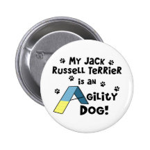 Perro de la agilidad de Jack Russell Terrier Pins