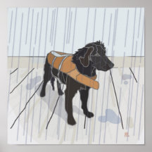Perro de la lluvia poster