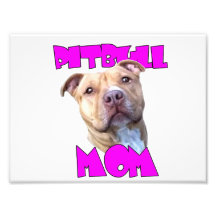 Perro de la mamá de Pitbull Fotografias