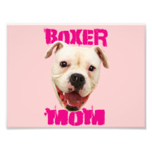 Perro de la mamá del boxeador fotografias