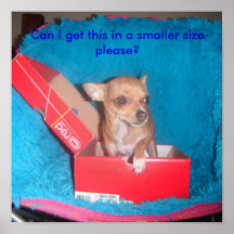Perro de las compras poster