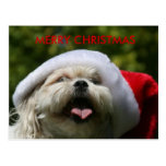 PERRO DE LAS FELICES NAVIDAD TARJETA POSTAL