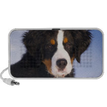 Perro de montaña de Bernese - foto linda del perri Mini Altavoz