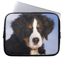Perro de montaña de Bernese - foto linda del perri Manga Portátil
