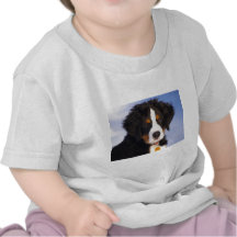 Perro de montaña de Bernese - foto linda del perri Camisetas