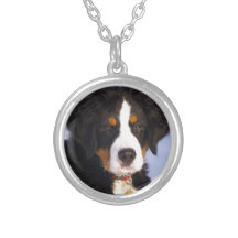 Perro de montaña de Bernese - foto linda del perri Pendientes