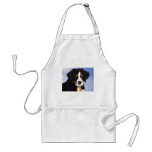 Perro de montaña de Bernese - foto linda del perri Delantales