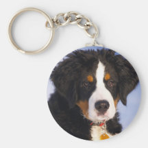 Perro de montaña de Bernese - foto linda del perri Llavero Personalizado
