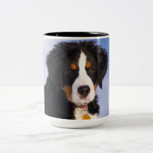 Perro de montaña de Bernese - foto linda del perri Tazas De Café